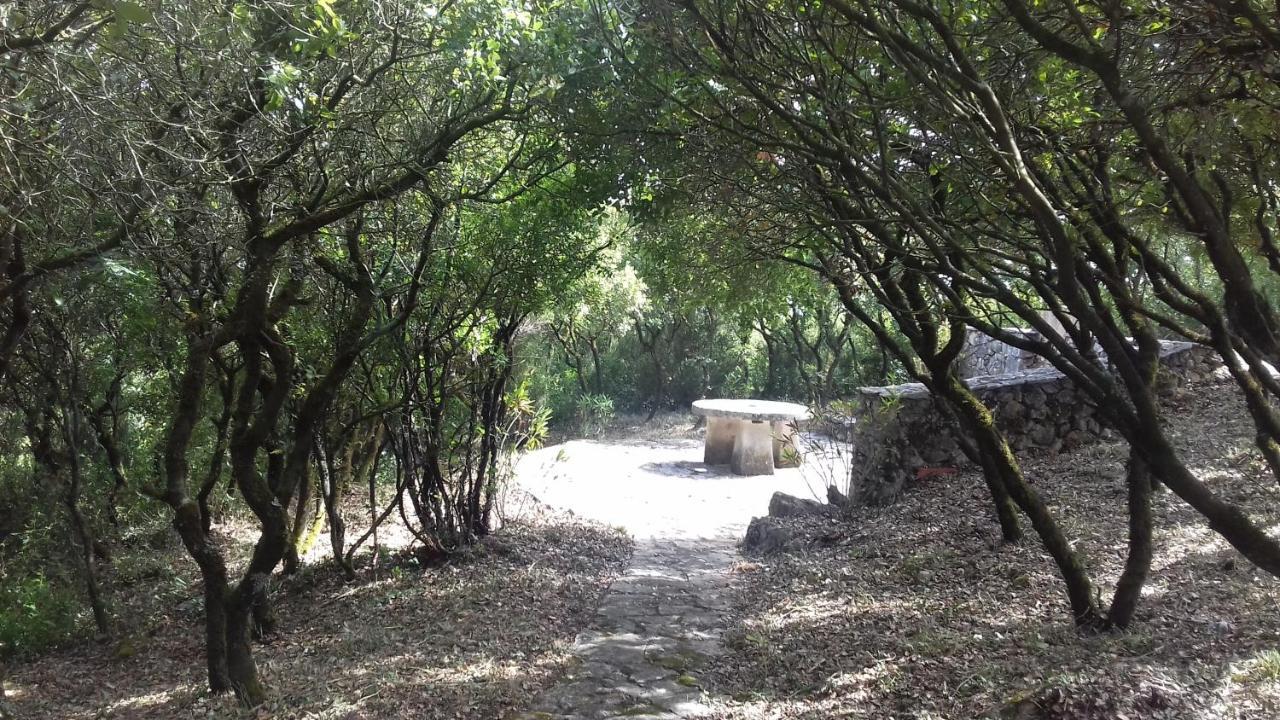 Villa Cabeco Dos Tres Moinhos Rio Maior Exterior foto